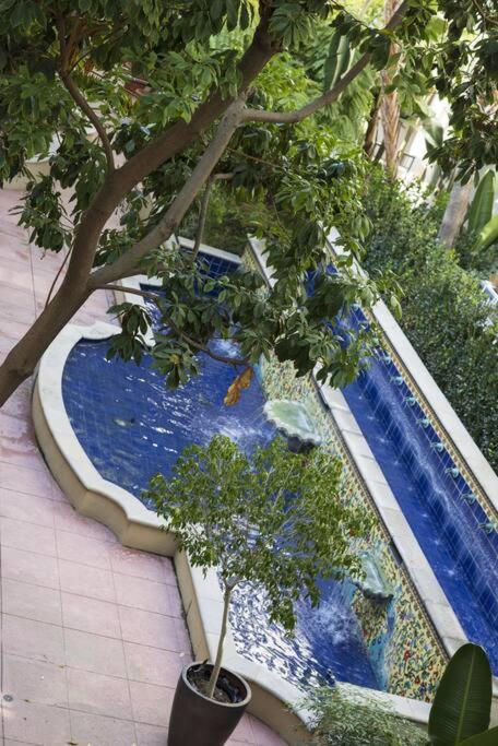 1 Bedroom Xl With King Bed, Garden View, Parking Included